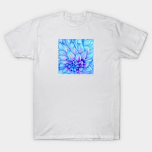 Chrysanthemum in Blue T-Shirt